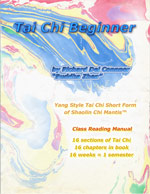 book cover of Tai Chi Beginner by Buddha Z